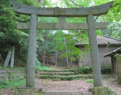 美猫サラと沙羅大神と魔妖たち