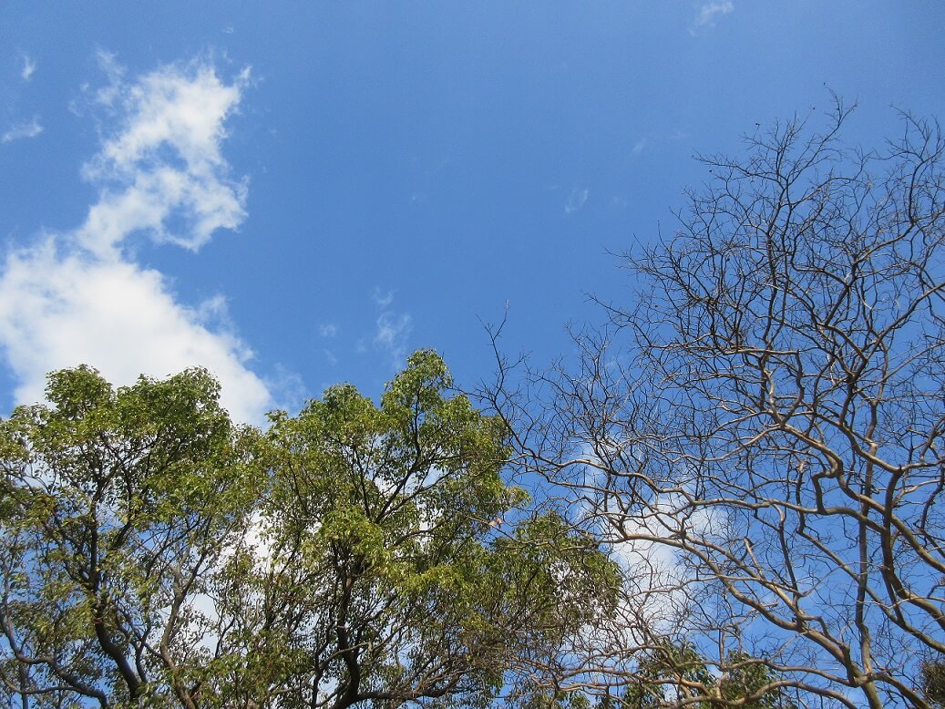 空を見上げる