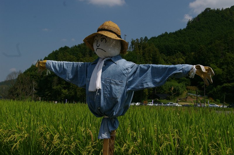 空飛ぶシタイ