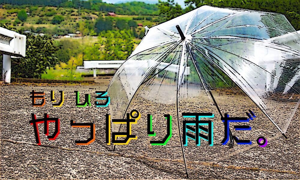 やっぱり雨だ。