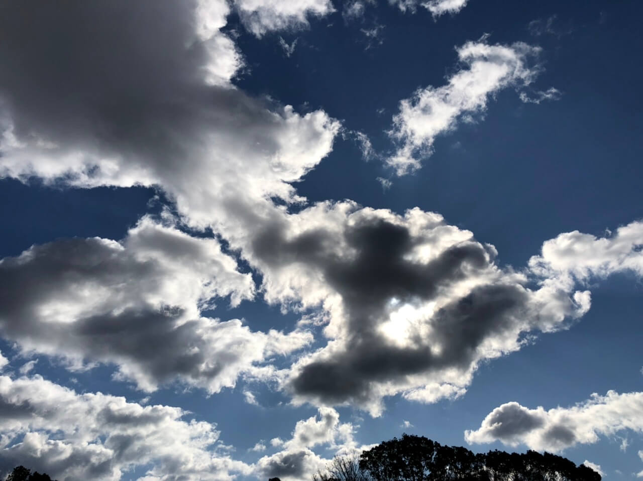 突飛な人が太陽を隠した