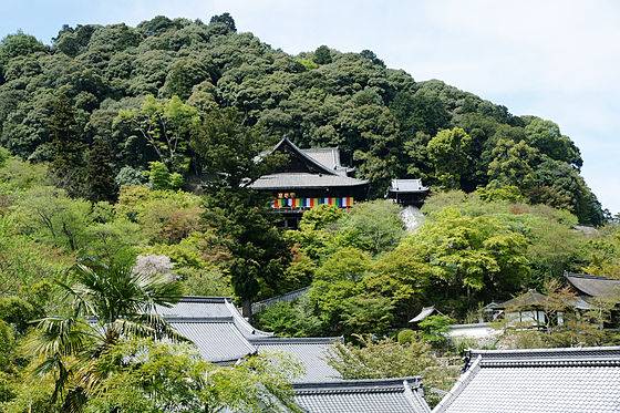 縁切寺・長谷寺・性感染症・梅毒