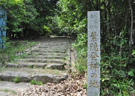 「葉隠れの生と死」