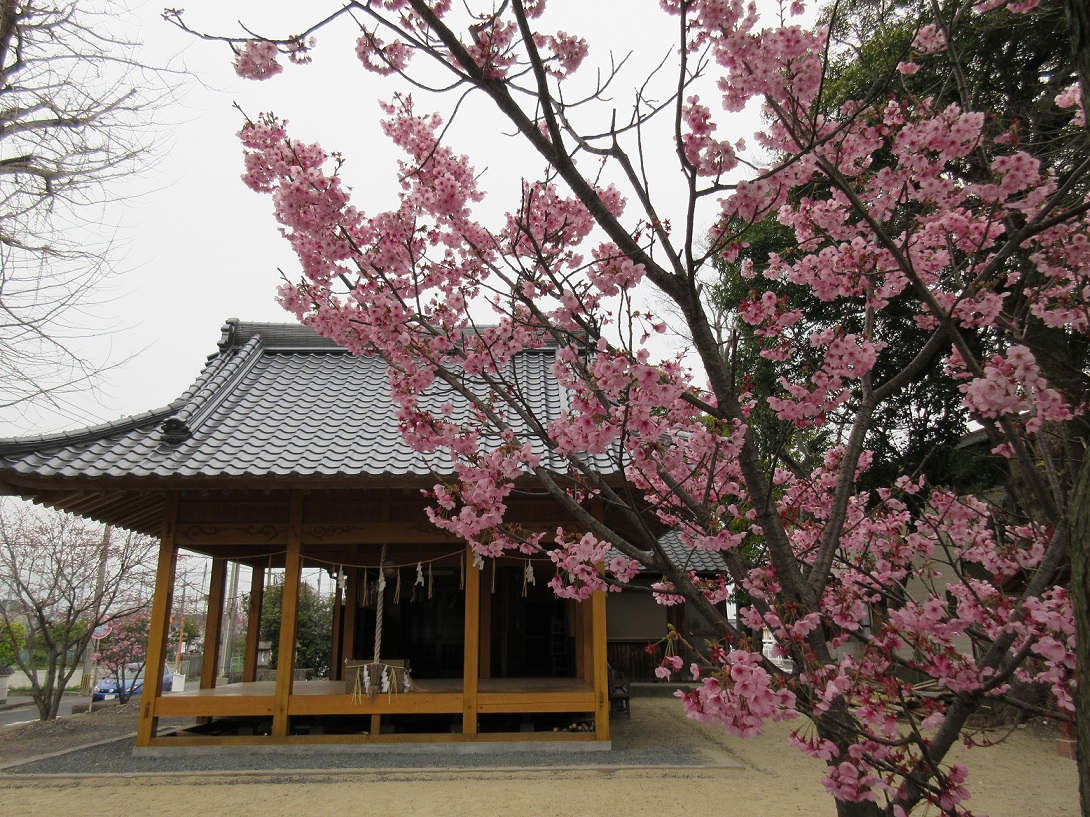 「桜咲き　桜散り行く　風の中　無心に遊ぶ　子供らの声」