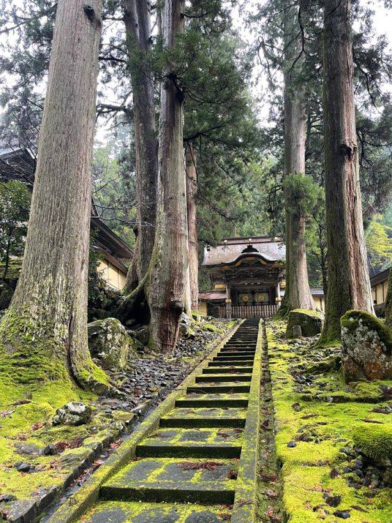 寺の建立