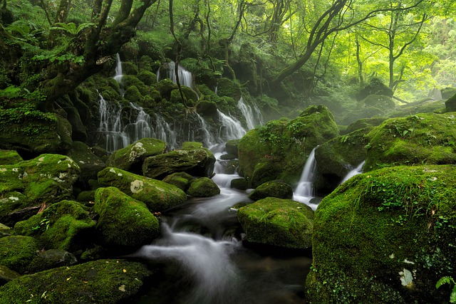 1　山に囲まれた谷底の村