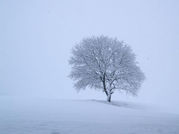 雪解けと言の葉