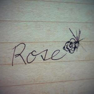 Rose