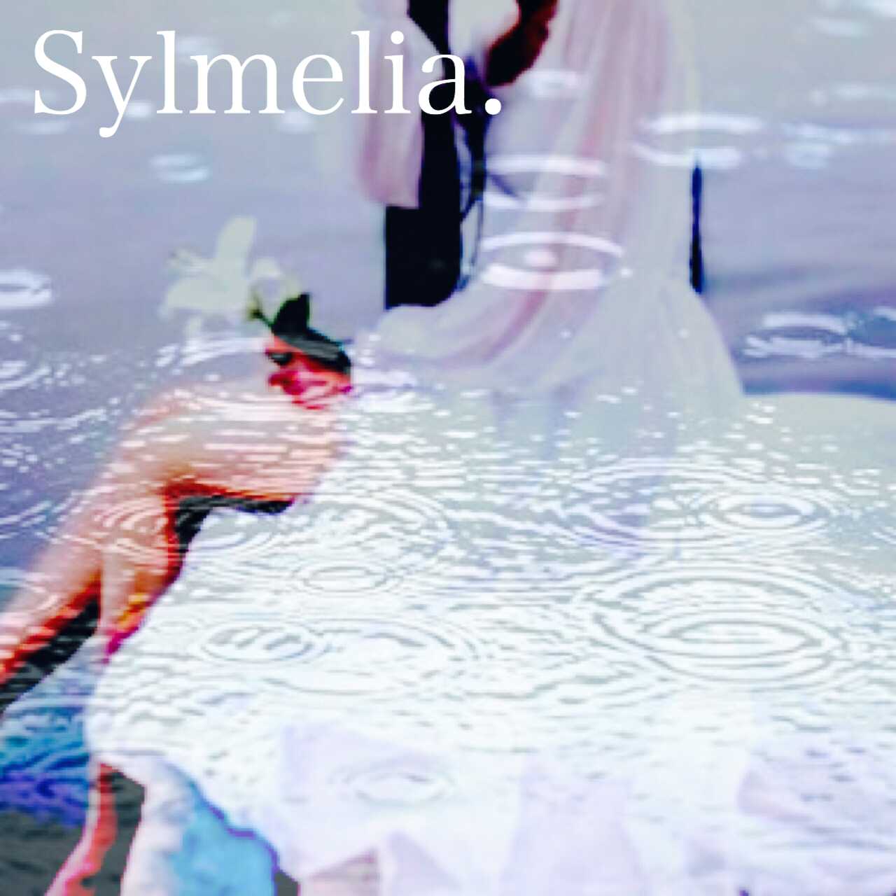 Sylmelia.