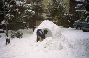 雪が降る