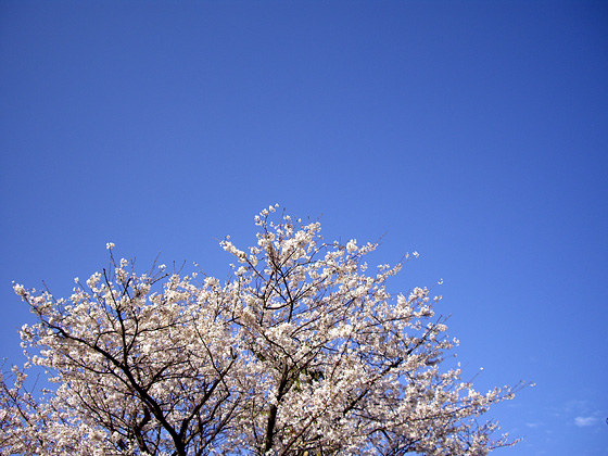 今日から「自分探し」始めます。