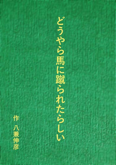 どうやら馬に蹴られたらしい