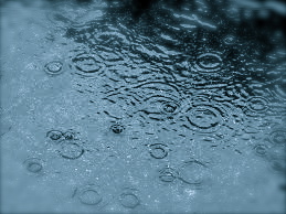 雨と休日