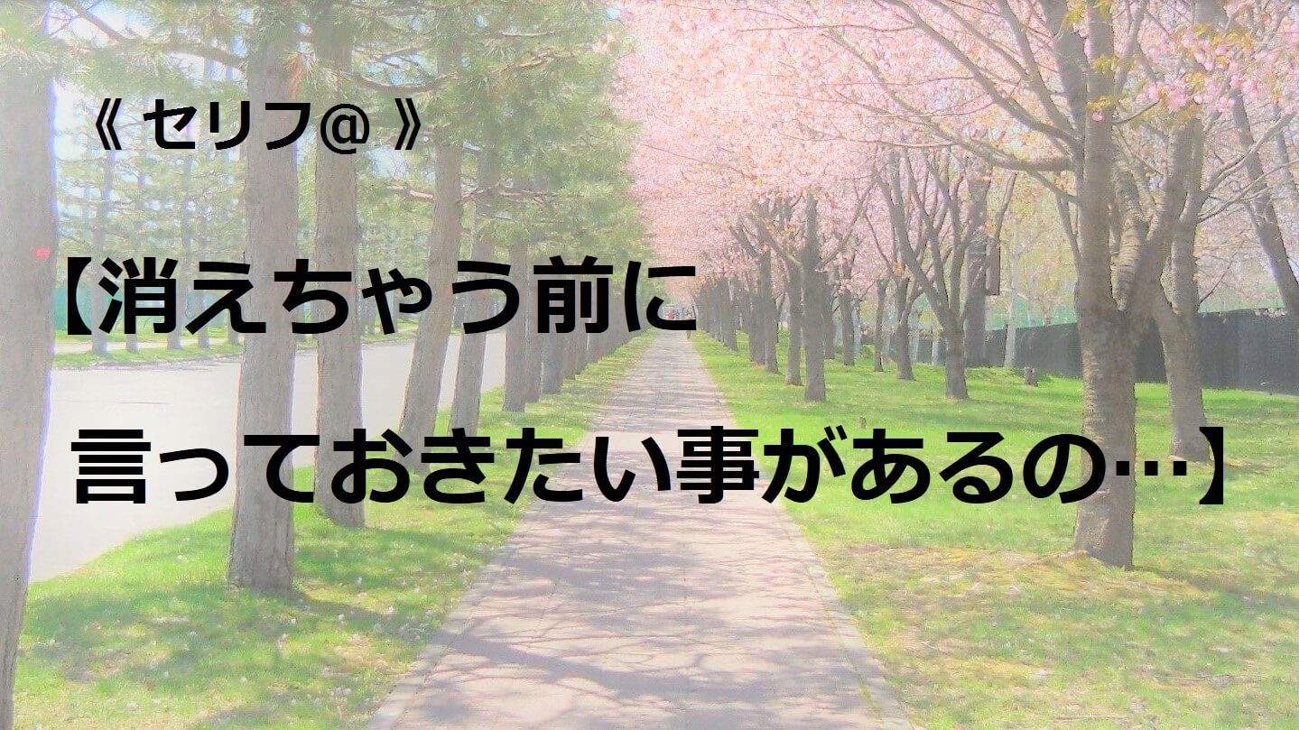 消えちゃう前に言っておきたい事があるの…