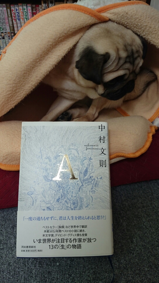 「Ａ」中村文則