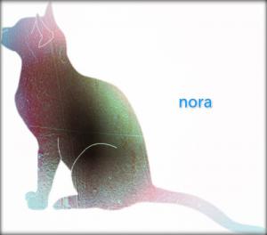 　nora