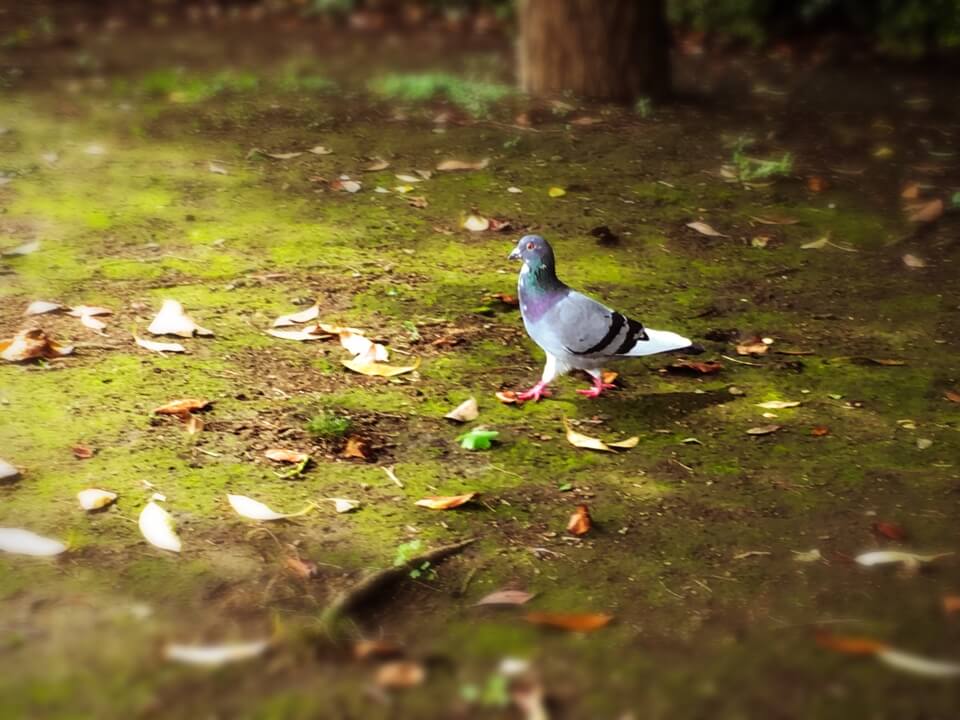 内緒のはなし