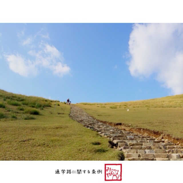 通学路に関する条例