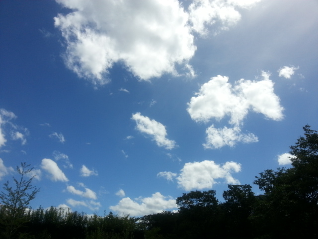 かげろうの空　―　ほら、また　雲が流れてくよ。